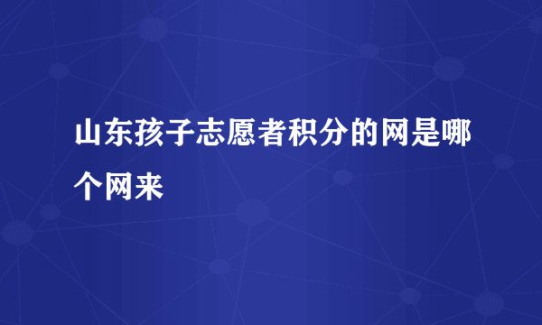 山东孩子志愿者积分的网是哪个网来