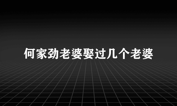 何家劲老婆娶过几个老婆