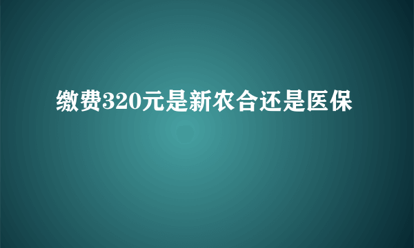 缴费320元是新农合还是医保