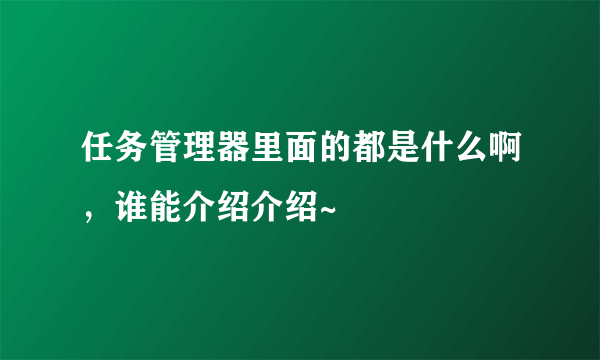 任务管理器里面的都是什么啊，谁能介绍介绍~