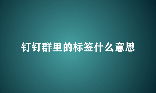 钉钉群里的标签什么意思