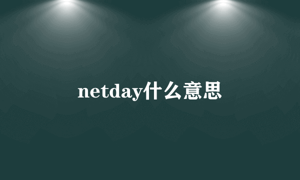 netday什么意思