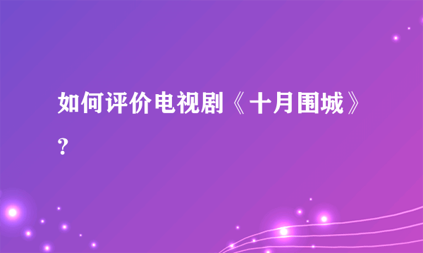 如何评价电视剧《十月围城》？