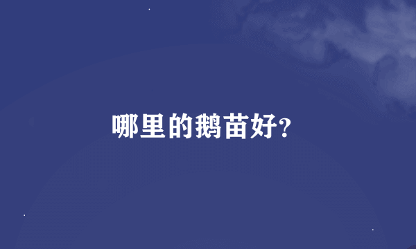 哪里的鹅苗好？