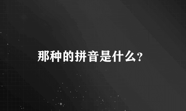 那种的拼音是什么？