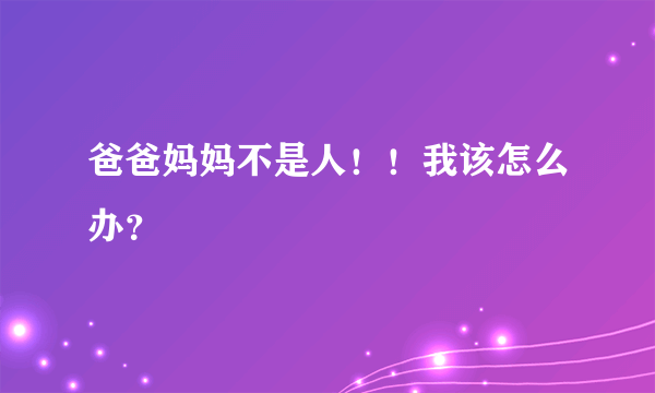 爸爸妈妈不是人！！我该怎么办？