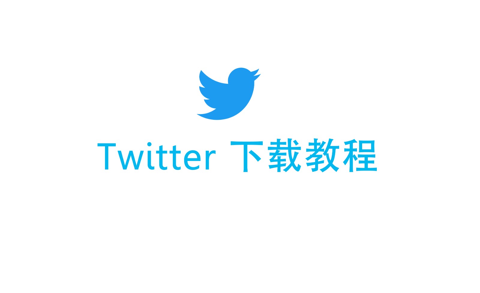 twitter是什么意思（中文）？