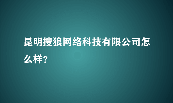 昆明搜狼网络科技有限公司怎么样？