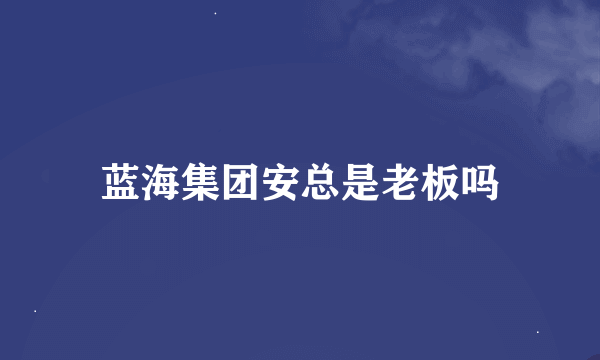 蓝海集团安总是老板吗