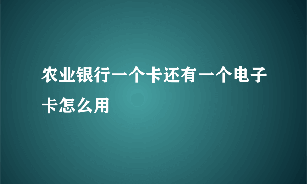 农业银行一个卡还有一个电子卡怎么用