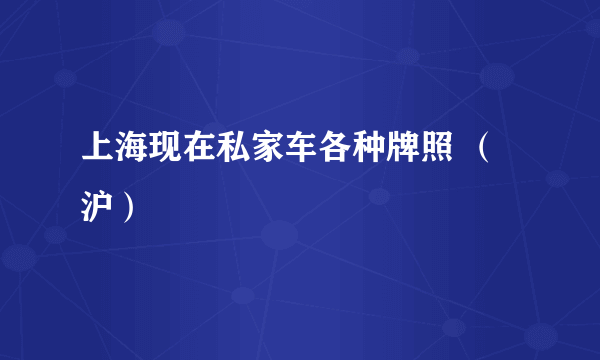 上海现在私家车各种牌照 （沪）