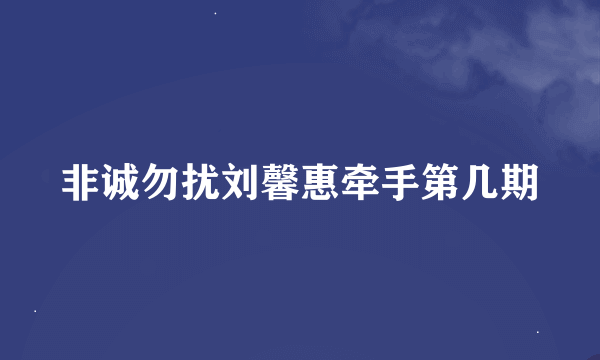 非诚勿扰刘馨惠牵手第几期