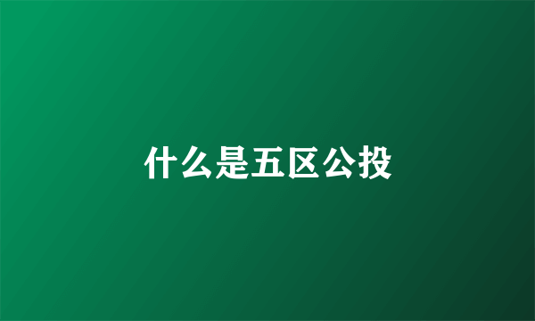 什么是五区公投