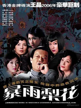 《暴雨梨花(2006)》免费在线观看完整版高清,求百度网盘资源