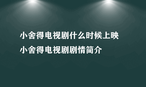 小舍得电视剧什么时候上映 小舍得电视剧剧情简介