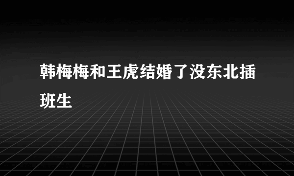 韩梅梅和王虎结婚了没东北插班生