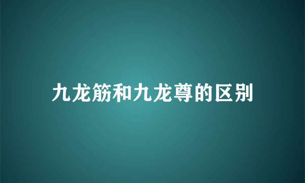 九龙筋和九龙尊的区别