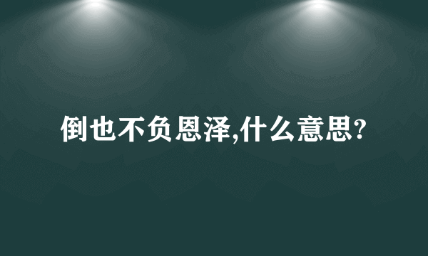 倒也不负恩泽,什么意思?