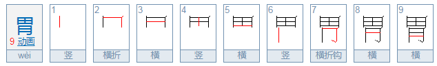 胃的部首是什么