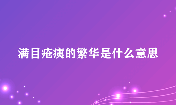 满目疮痍的繁华是什么意思