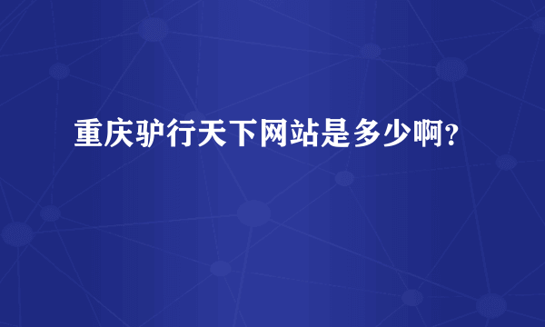 重庆驴行天下网站是多少啊？