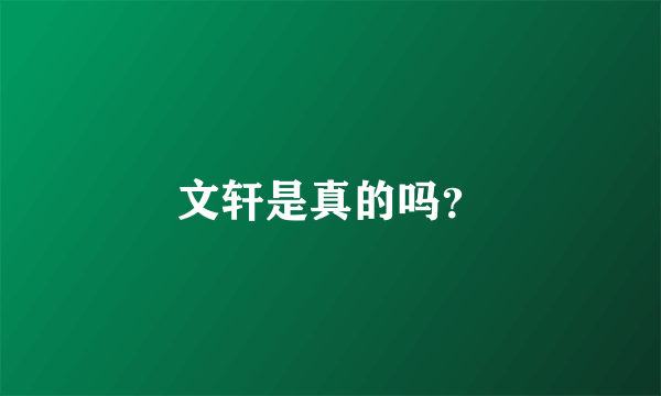 文轩是真的吗？