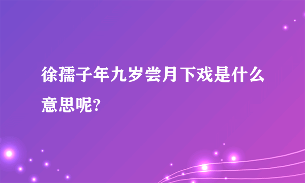 徐孺子年九岁尝月下戏是什么意思呢?