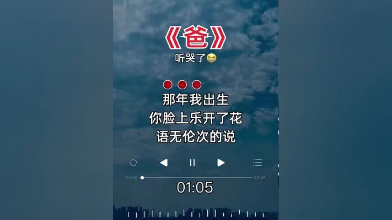 那年我出生你脸上乐开了花是什么歌