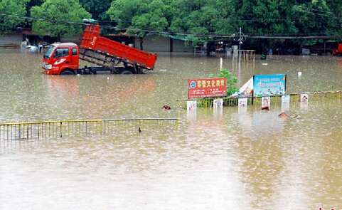 湖北市民40分钟买完河南瓜农3000斤瓜，从市民是举动中你看出了什么