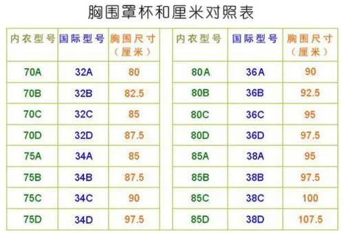 36d胸围是多少cm?