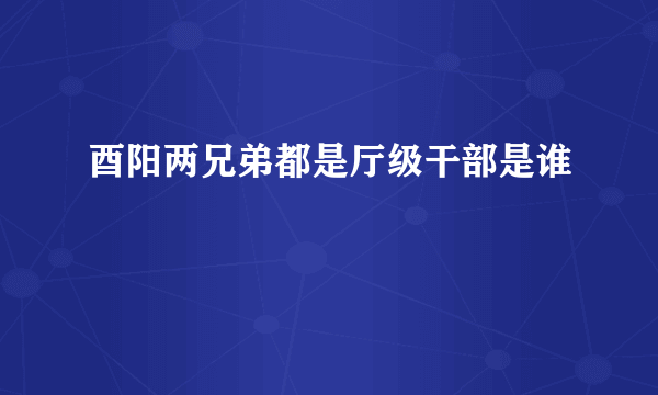 酉阳两兄弟都是厅级干部是谁