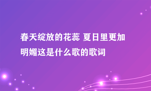 春天绽放的花蕊 夏日里更加明媚这是什么歌的歌词