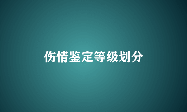 伤情鉴定等级划分