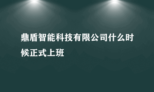 鼎盾智能科技有限公司什么时候正式上班