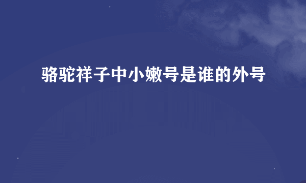 骆驼祥子中小嫩号是谁的外号