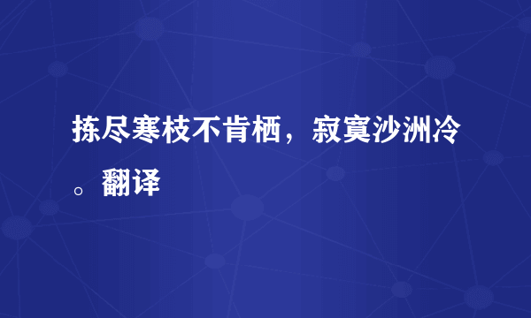 拣尽寒枝不肯栖，寂寞沙洲冷。翻译