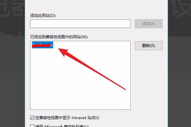 w10兼容性视图设置在哪