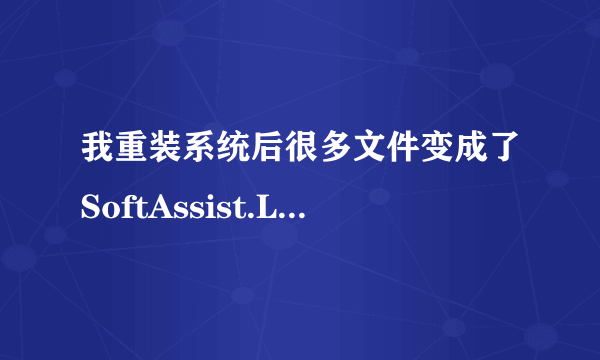 我重装系统后很多文件变成了SoftAssist.Link格式(特别是下的视频）,但这还不是主要的。