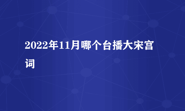 2022年11月哪个台播大宋宫词