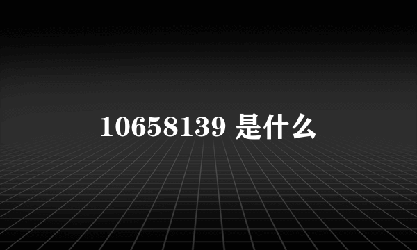 10658139 是什么