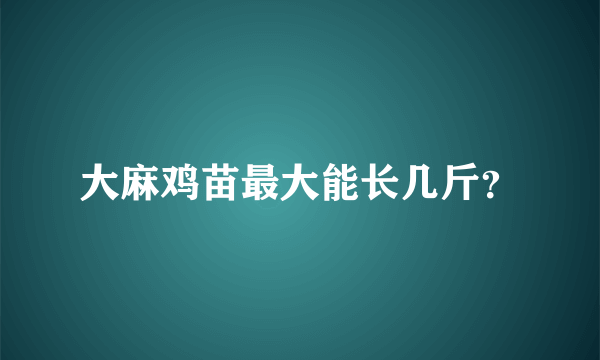 大麻鸡苗最大能长几斤？