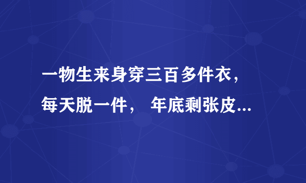 一物生来身穿三百多件衣， 每天脱一件， 年底剩张皮。  打一（物）