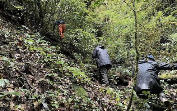 云南4名经验丰富的地质人员为何会迷失大山？