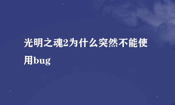 光明之魂2为什么突然不能使用bug