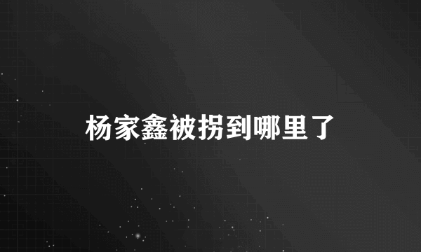 杨家鑫被拐到哪里了