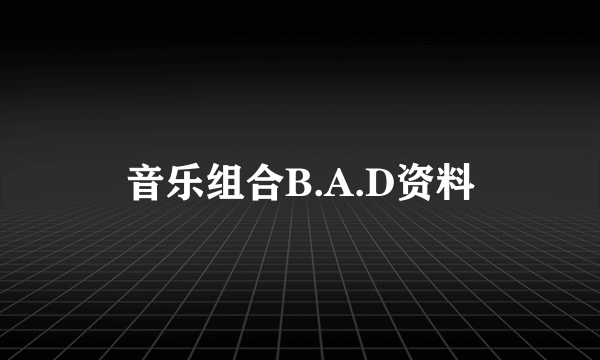 音乐组合B.A.D资料