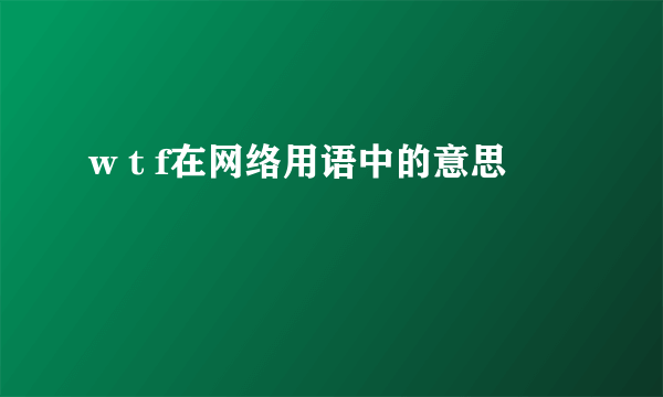 w t f在网络用语中的意思