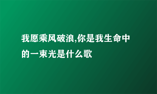 我愿乘风破浪,你是我生命中的一束光是什么歌