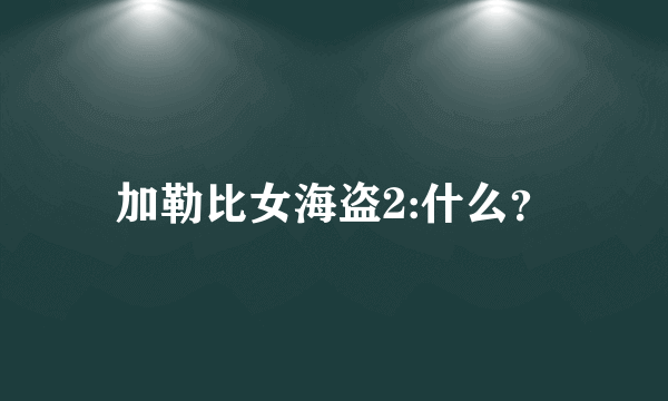 加勒比女海盗2:什么？