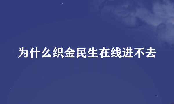 为什么织金民生在线进不去